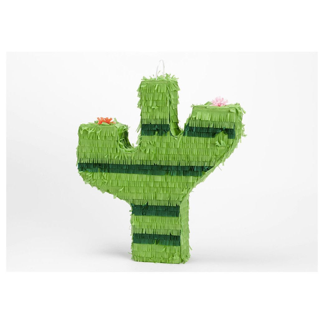 2023-03-pinata-cactus.jpg