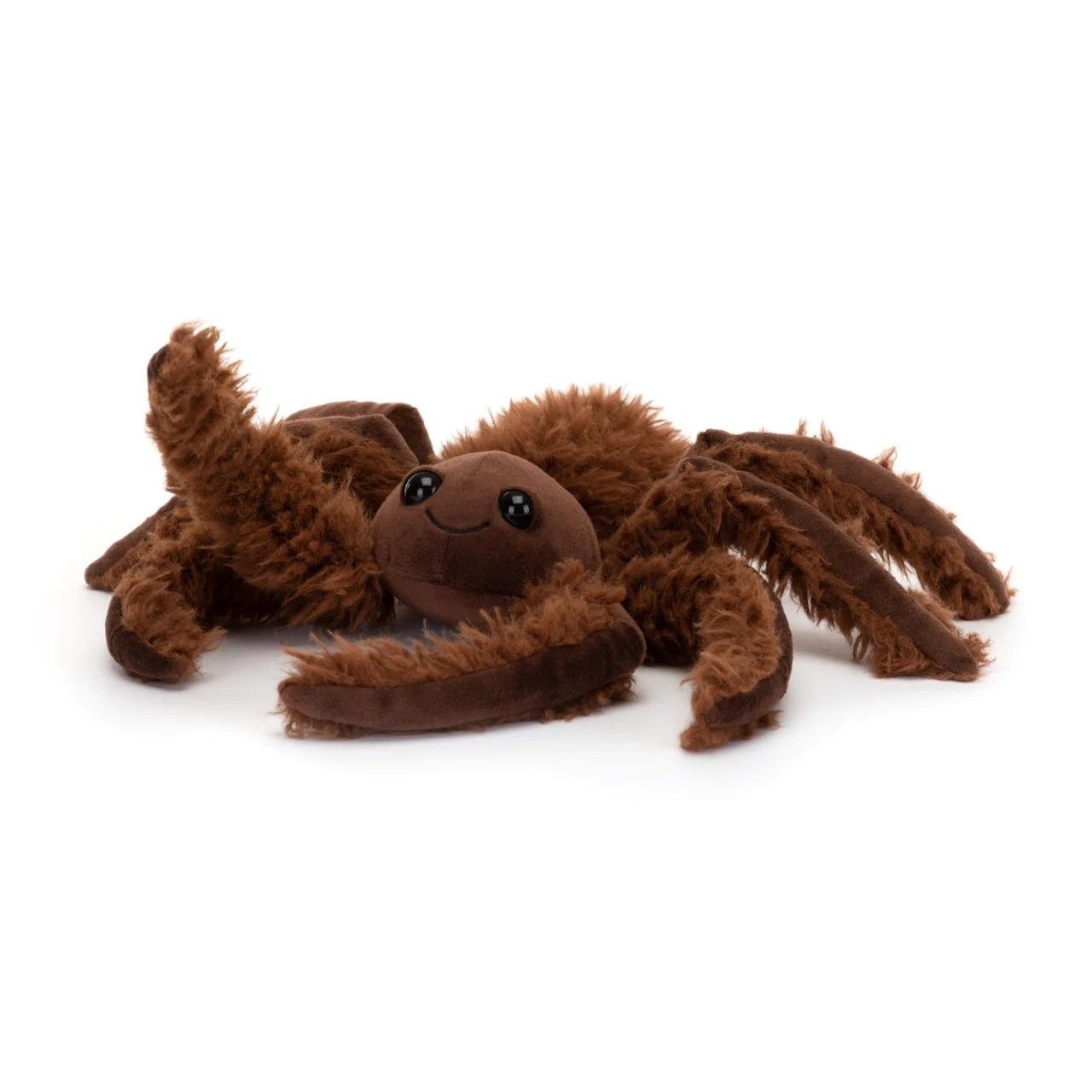 2023-09-spindleshanks-spider-small.jpg