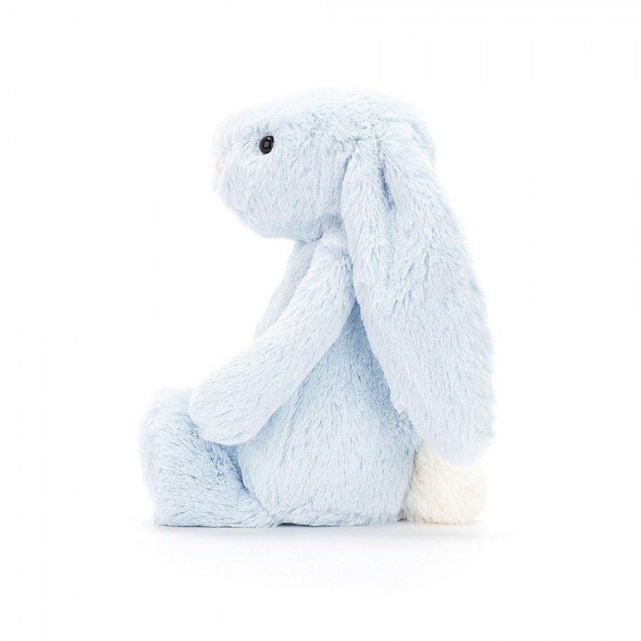 2024-02-bashful-blue-bunny-original-1.jpg