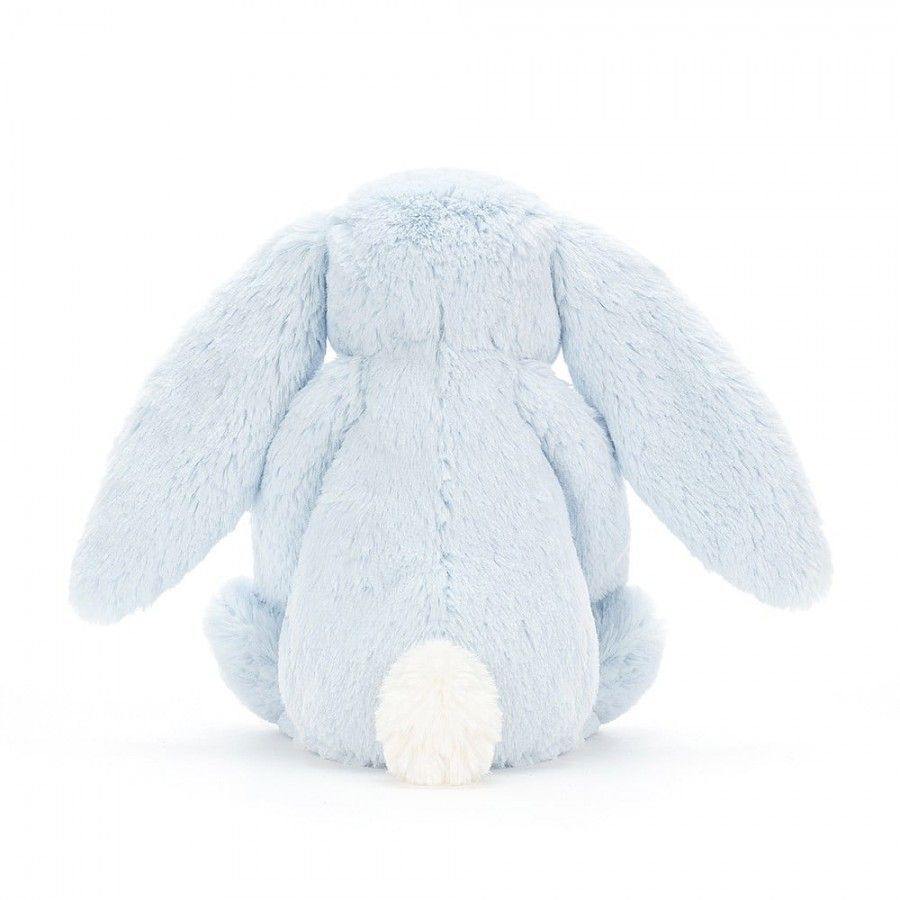 2024-02-bashful-blue-bunny-original-2.jpg