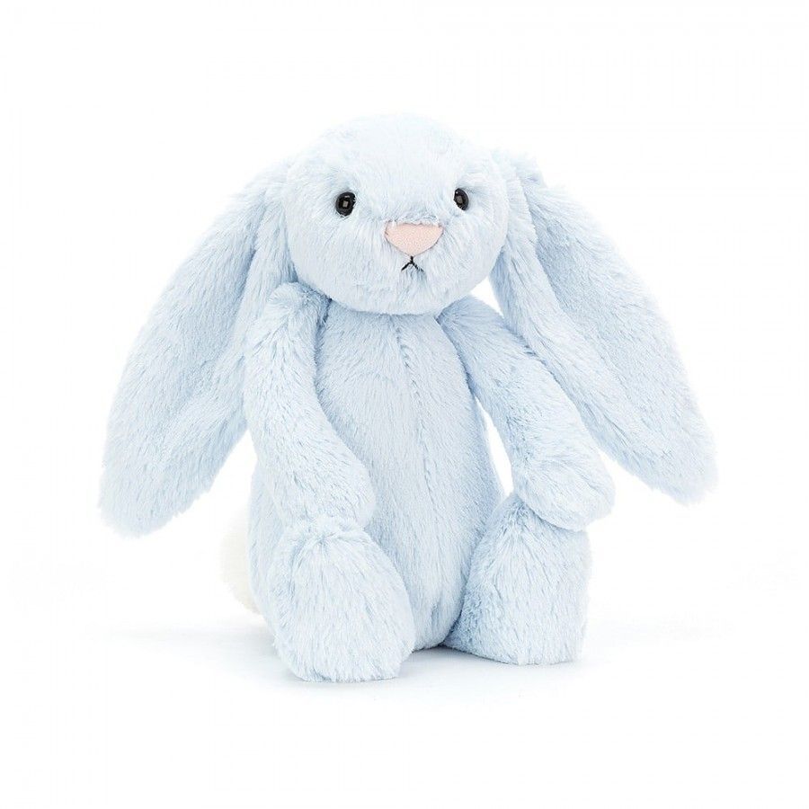 2024-02-bashful-blue-bunny-original.jpg
