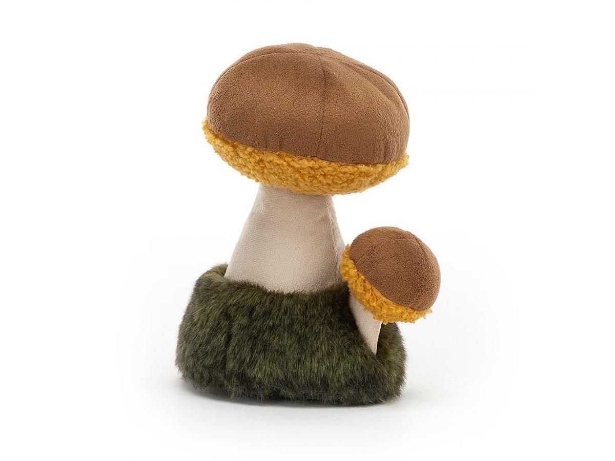 boletus.jpg
