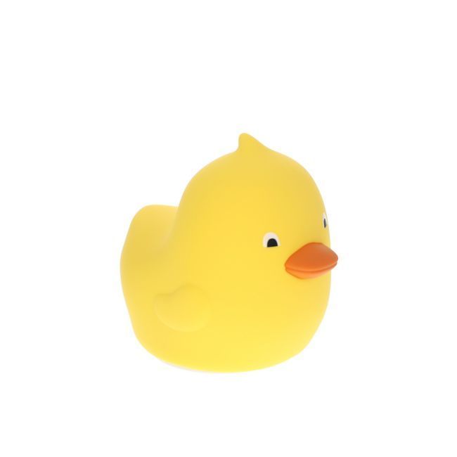 canard.jpg