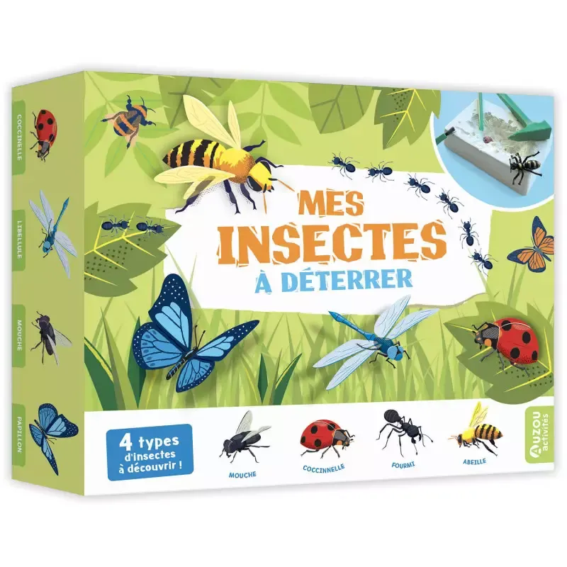 mes-insectes-a-deterrer.webp