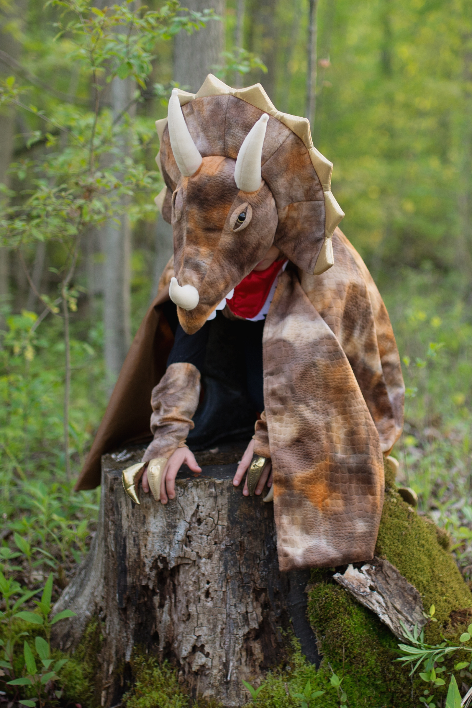 sous-la-bonne-etoile-great-pretenders-grandasaurus-triceratops-cape-7-8-ans-1.png