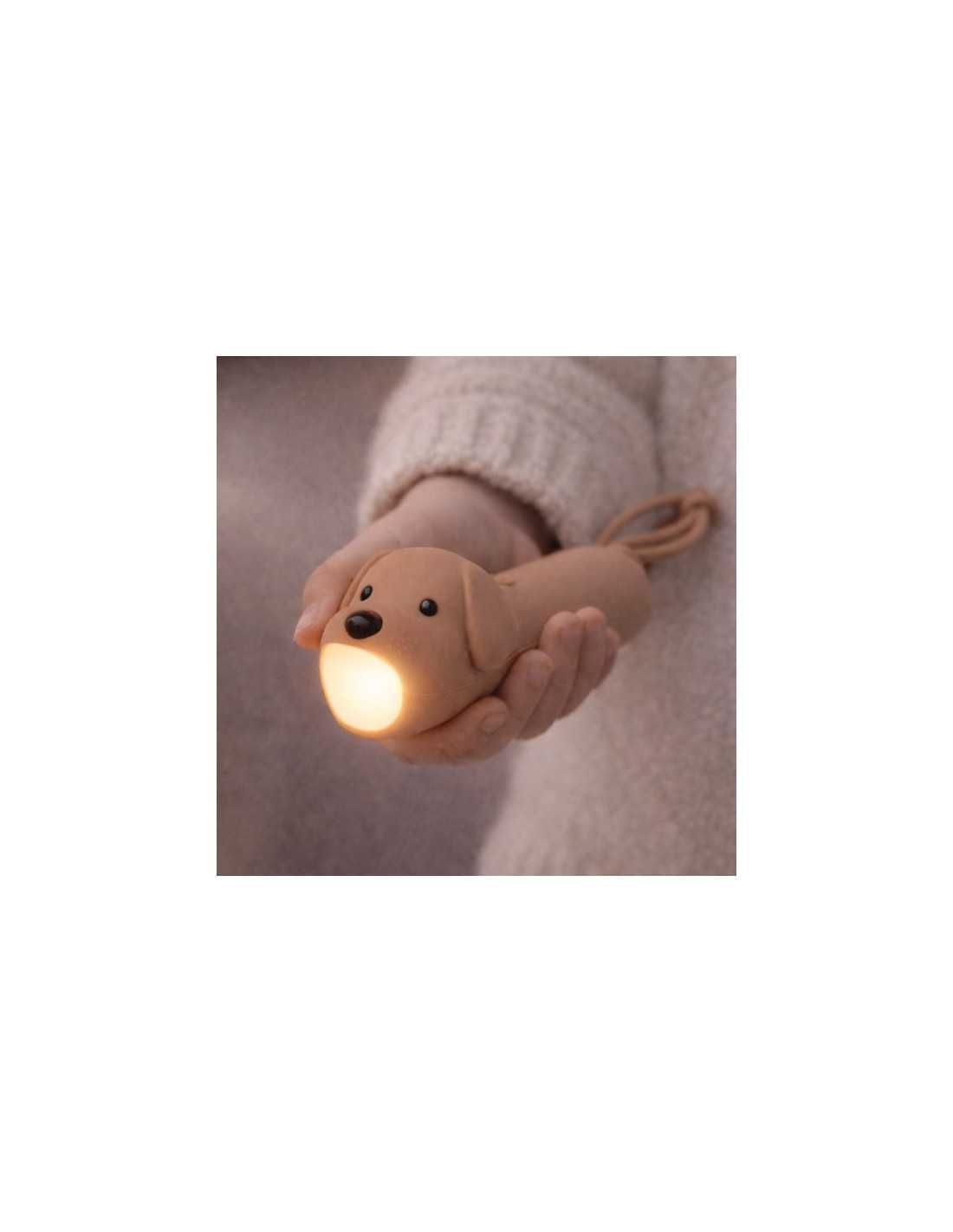 sous-la-bonne-etoile-little-l-lampe-de-poche-chien-6.jpg