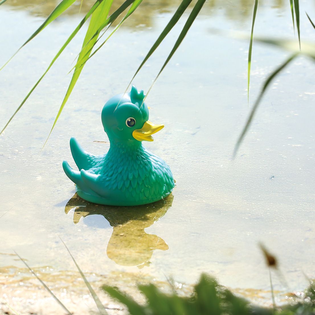 baji-sous-la-bonne-etoile-ludi-coffret-de-bain-canard-7.jpg