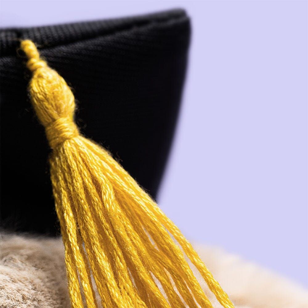 sous-la-bonne-etoile-jellycat-bashful-bunny-graduation-outfi-3.jpg